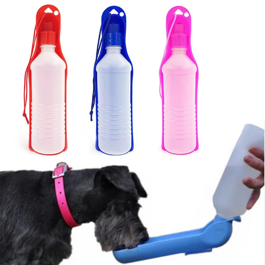 Foldable Dog Water Feeder