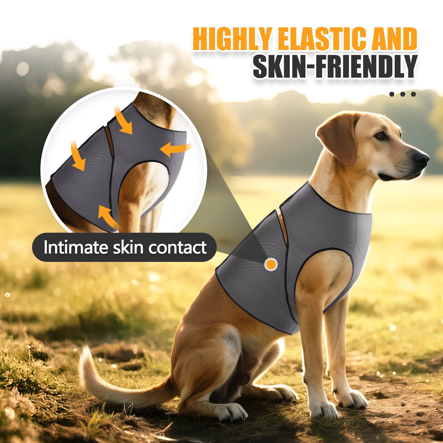 CalmWrap™ Calming Vest for Dogs