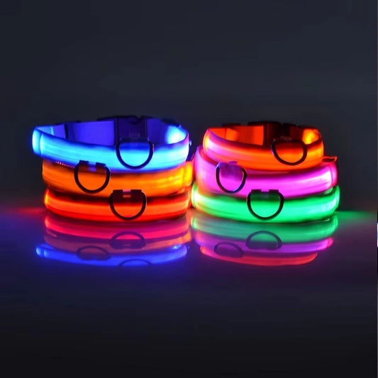 LED Glow Dog Collar – Reflective & Night-Safe