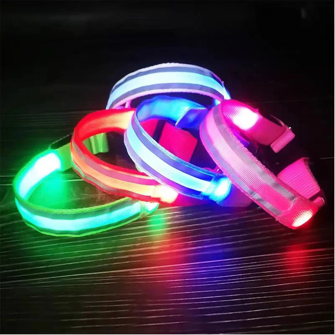 LED Glow Dog Collar – Reflective & Night-Safe
