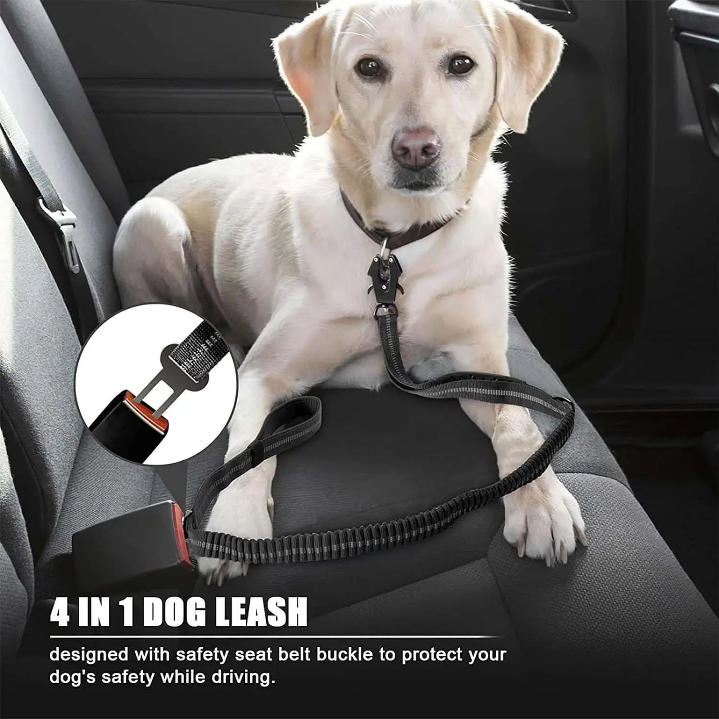 PowerFlex Tactical Dog Leash