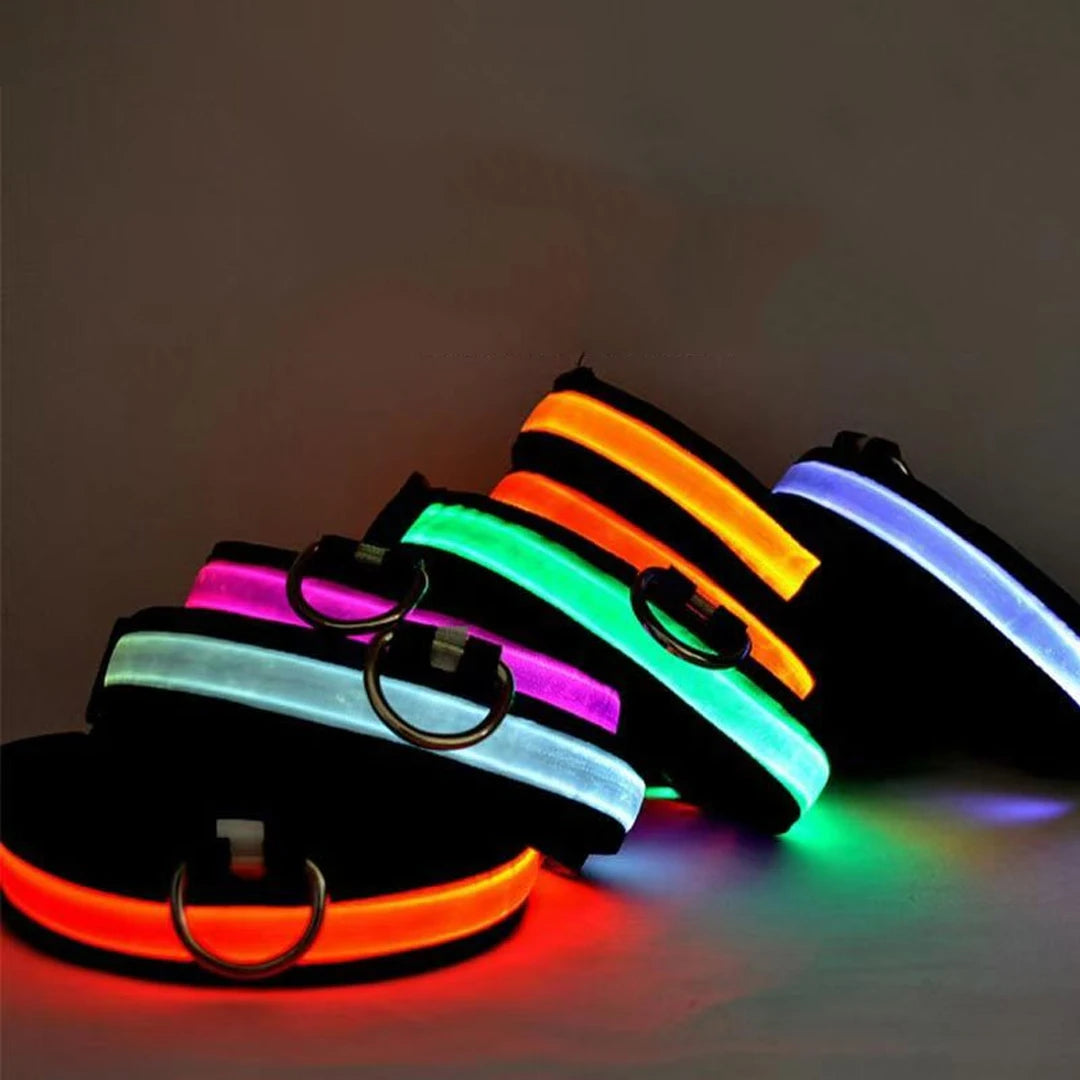 LED Glow Dog Collar – Reflective & Night-Safe