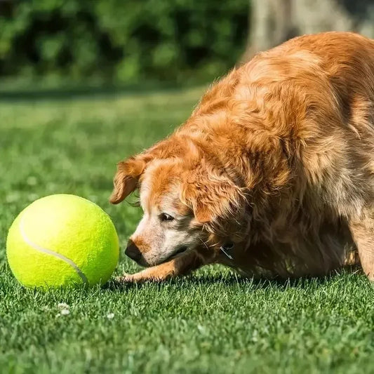 Snouty Giant Tennis Ball – Fun & Durable Pet Toy