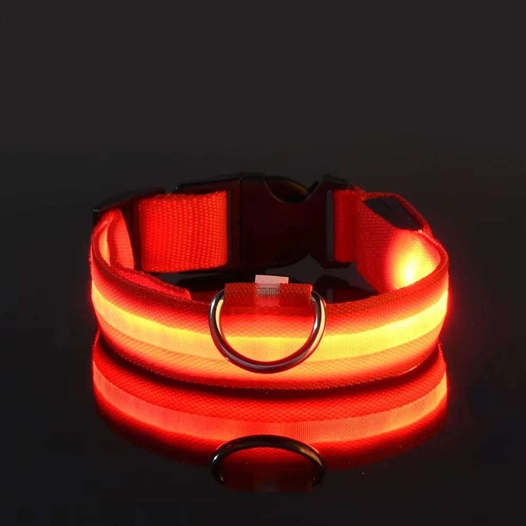 LED Glow Dog Collar – Reflective & Night-Safe