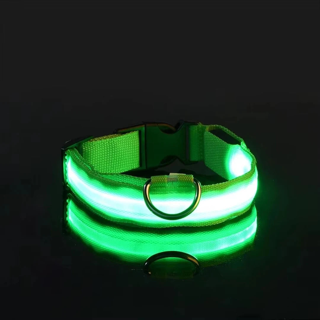 LED Glow Dog Collar – Reflective & Night-Safe
