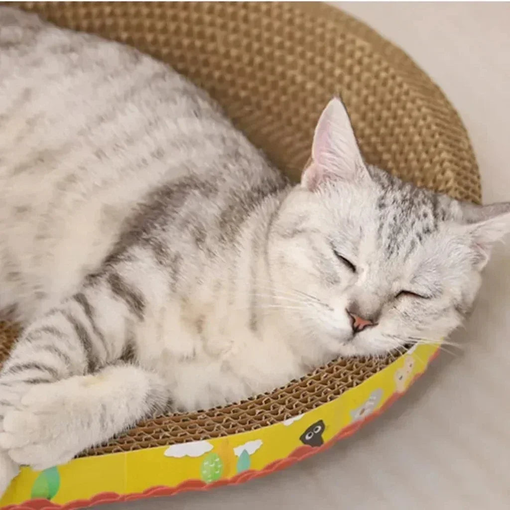 Multi-Purpose Oval Cat Scratcher Bed
