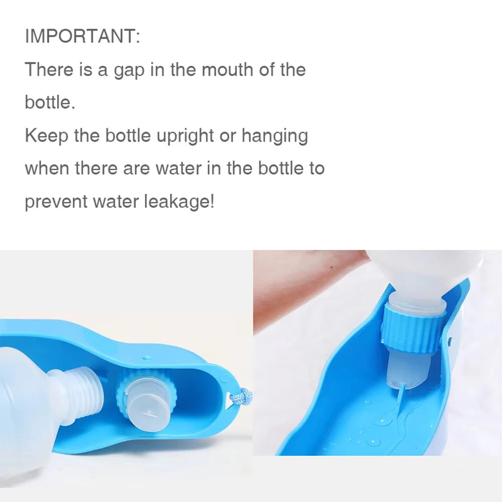 Foldable Dog Water Feeder