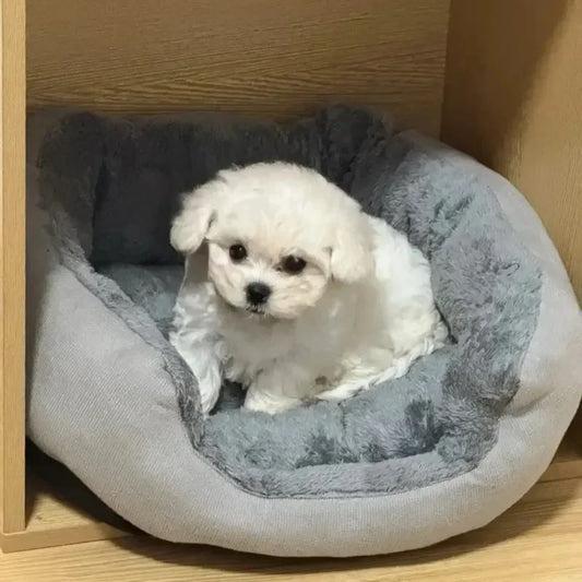 Pet Sofa Bed – Soft & Comfy