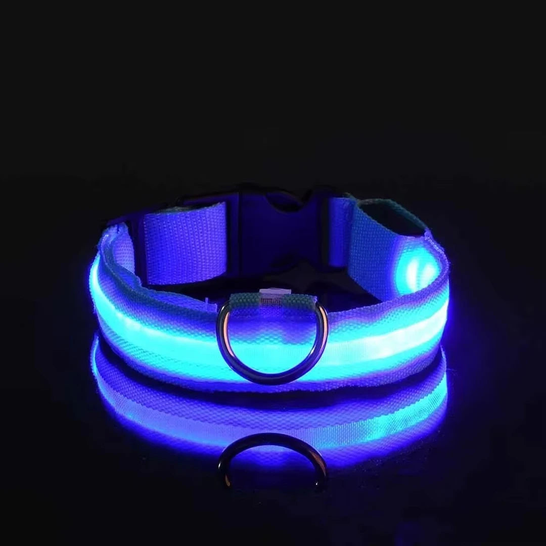 LED Glow Dog Collar – Reflective & Night-Safe