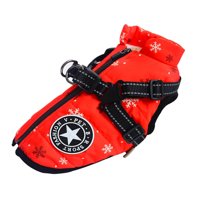 Winter Dog Jacket with Harness