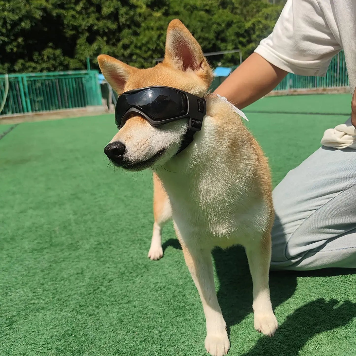 Pet UV Protection Goggles
