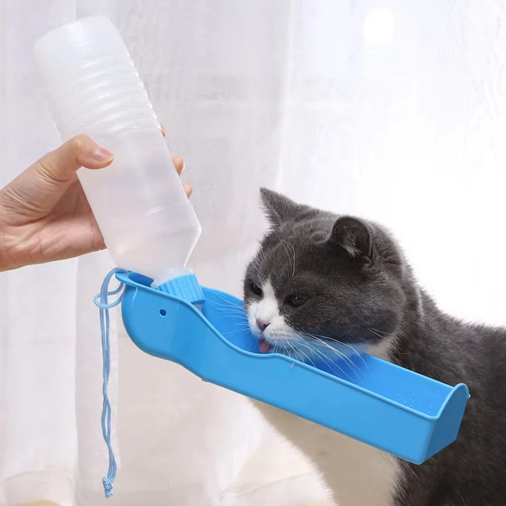 Foldable Dog Water Feeder