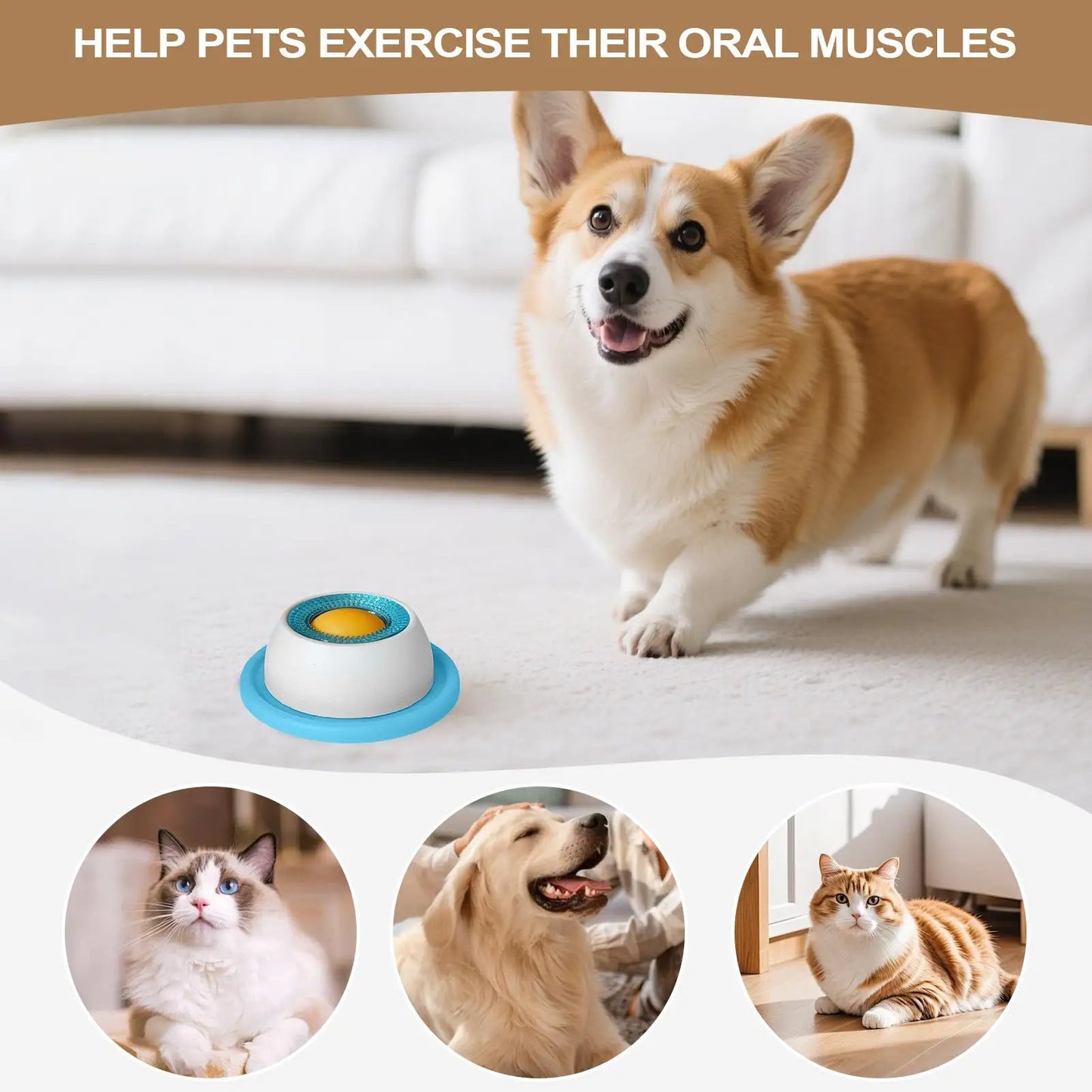 Interactive Slow Feeder Toy