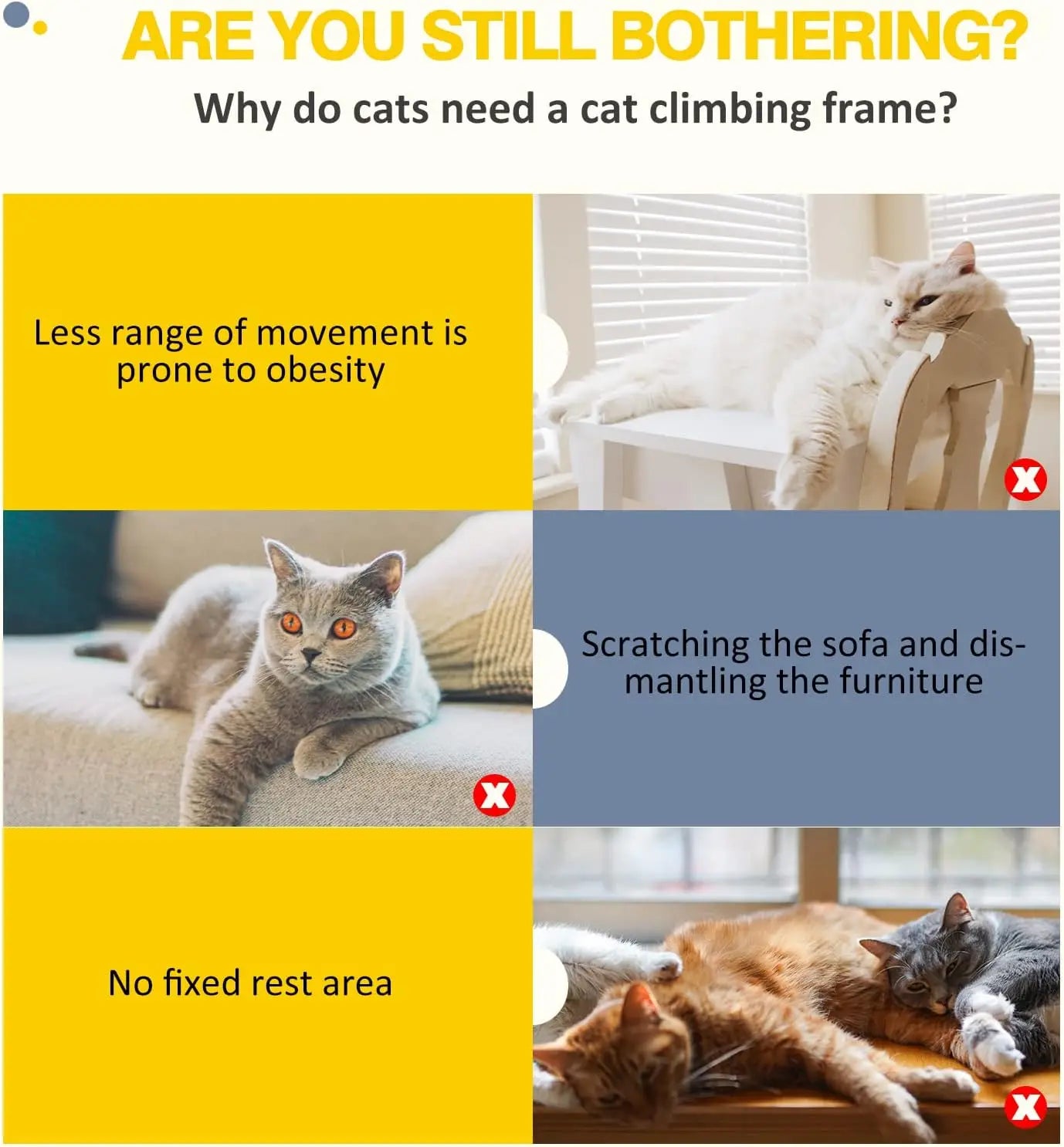 Large Cat Climbing Tree with Scratching Posts