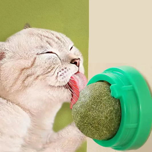 Stick-On Catnip Ball – Fun & Healthy Snack