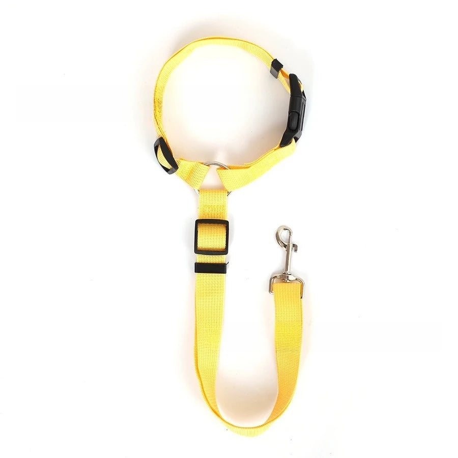 2-in-1 Pet Car Seat Belt Leash