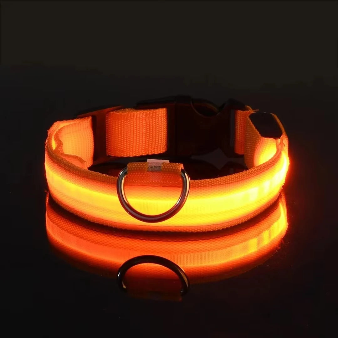 LED Glow Dog Collar – Reflective & Night-Safe